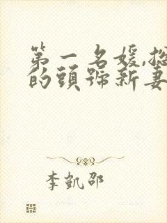 第一名媛,总裁的头号新妻小说txt