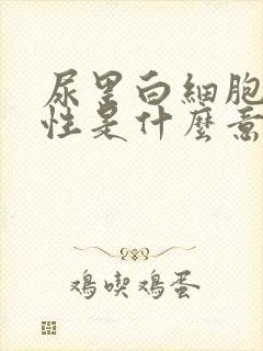 尿里白细胞弱阳性是什么意思