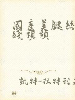 国产美腿丝袜在线视频