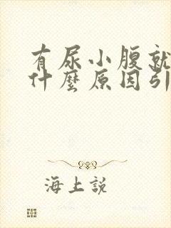 有尿小腹就胀痛什么原因引起的