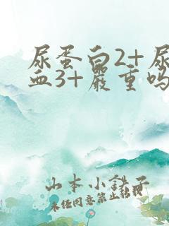 尿蛋白2+尿隐血3+严重吗