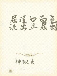 尿道口白色液体流出且尿刺痛