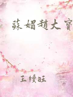 苏媚赵大宝赵勇