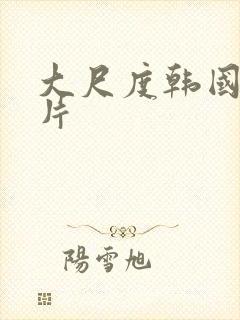 大尺度韩国犯罪片