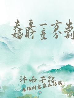 夫妻一方出轨离婚财产分割