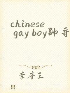 chinese gay boy帅哥
