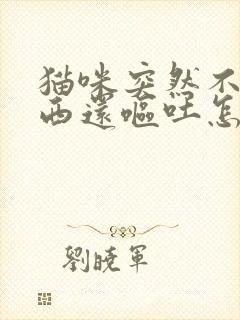 猫咪突然不吃东西还呕吐怎么办