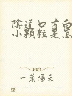 阴道口有白色的小颗粒是怎么回事