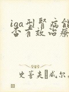 iga型肾病能否有效治疗