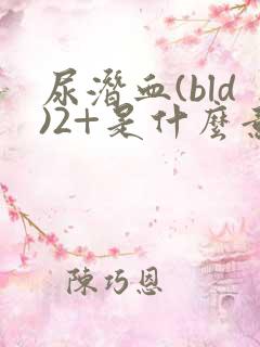 尿潜血(bld)2+是什么意思