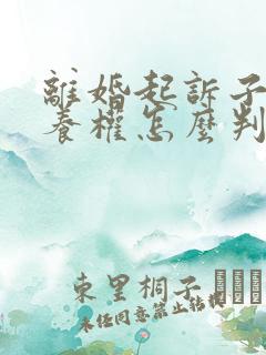 离婚起诉子女抚养权怎么判