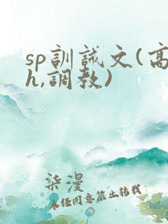 sp训诫文(高h,调教)