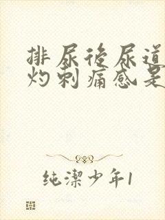 排尿后尿道有烧灼刺痛感是什么原因