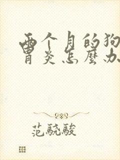 两个月的狗狗肠胃炎怎么办