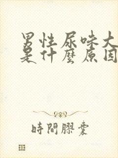 男性尿味大难闻是什么原因