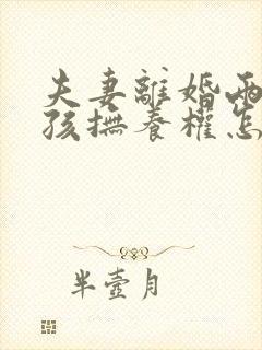 夫妻离婚两个小孩抚养权怎么判