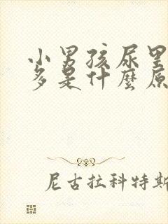 小男孩尿里泡沫多是什么原因?