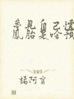 梦见自己怀孕龙凤胎是啥预兆解梦