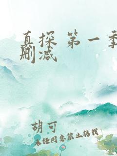 真探 第一季无删减