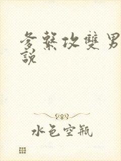 爹系攻双男主小说