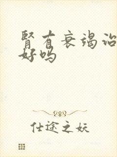 肾有衰竭治疗能好吗