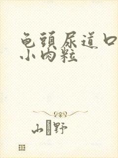 龟头尿道口一个小肉粒