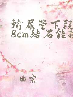 输尿管下段0.8cm结石能排出吗