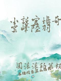 小说官场奇才刘云峰陆羽