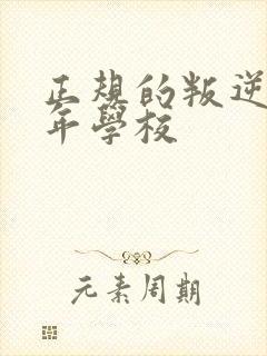 正规的叛逆青少年学校