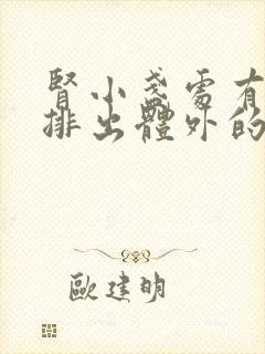 肾小盏处有结石排出体外的途径