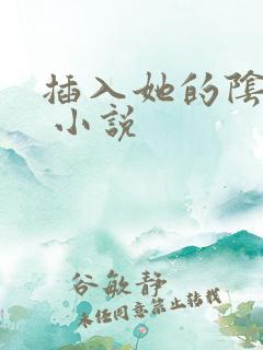 插入她的阴道里 小说