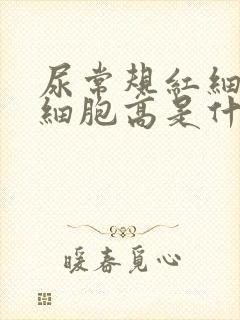 尿常规红细胞白细胞高是什么原因