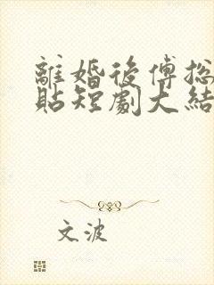 离婚后傅总要倒贴短剧大结局