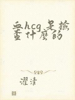 血hcg 是检查什么的