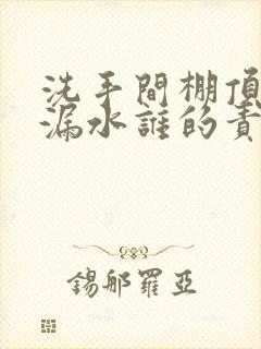 洗手间棚顶管道漏水谁的责任