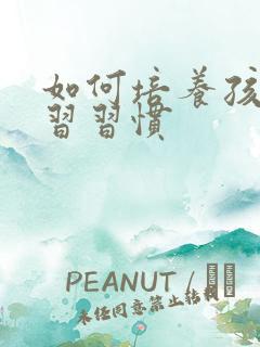 如何培养孩子学习习惯