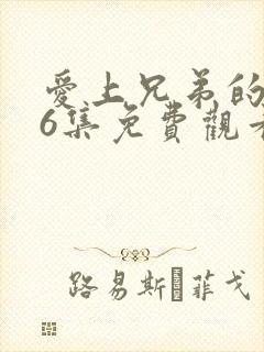 爱上兄弟的母亲6集免费观看