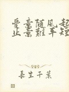 爱意随风起,风止意难平短剧免费观看