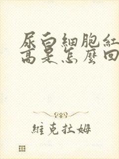 尿白细胞红细胞高是怎么回事