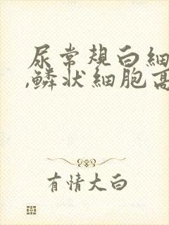 尿常规白细胞高,鳞状细胞高,有细菌