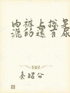 内裤上总是湿漉漉的还有尿骚味怎么回事