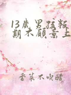 13岁男孩叛逆期不愿意上学怎么办