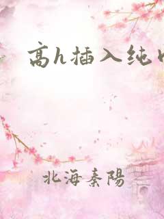 高h插入纯肉
