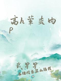 高h荤爽肉〈np