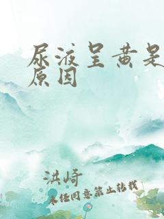 尿液呈黄是什么原因