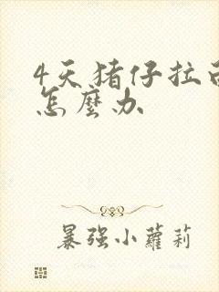 4天猪仔拉白屎怎么办