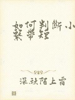 如何判断小孩舌系带短