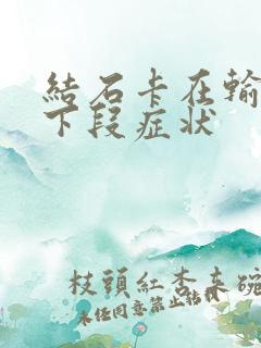 结石卡在输尿管下段症状