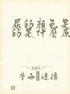 尿的颜色是白色的是什么原因