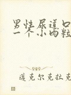 男性尿道口长了一个小肉粒